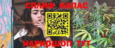 прущие грибы Заводоуковск