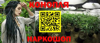 прущие грибы Заводоуковск