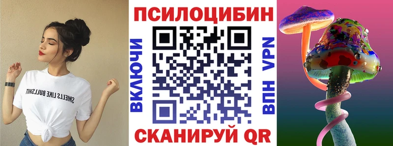 наркотики  Майкоп  Псилоцибиновые грибы Cubensis 