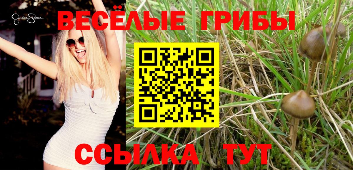 купить  сайты  Псилоцибиновые грибы прущие грибы  Галлюциногенные грибы Cubensis  Вход с VPN  Майкоп 