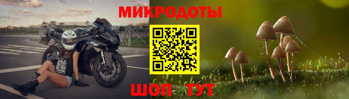 Галлюциногенные грибы мухоморы Майкоп