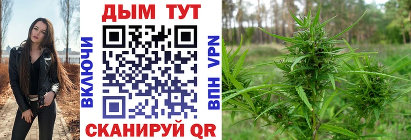 купить  цена  Майкоп  МАРИХУАНА THC 21% 